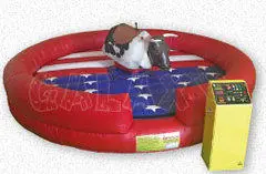 Regular Galaxy Mechanical Bull 260x170 2 HomeOLD